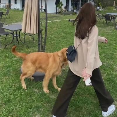 虹牛